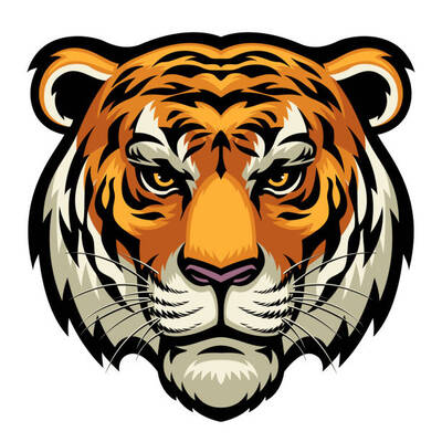 vector of tiger head in complex and detailed style